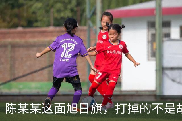 陈某某这面旭日旗，打掉的不是胡锡进的面子，是一层中邪论的滤镜